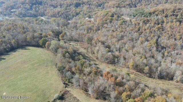 13157 PEONIA RD, CLARKSON, KY 42726, photo 3 of 25