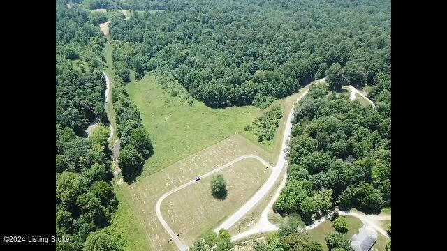 TRACT 4 MAPLE ROAD, CAMPBELLSVILLE, KY 42718 - Image 1