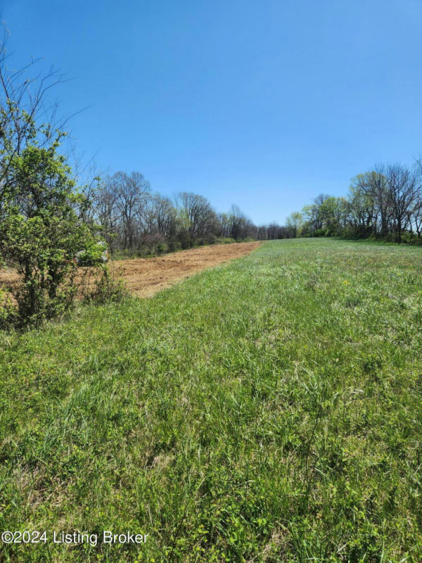TRACT 3 HIGH GROVE RD, COXS CREEK, KY 40013, photo 1 of 10