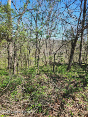 TRACT 3 HIGH GROVE RD, COXS CREEK, KY 40013, photo 2 of 10