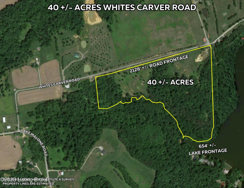 0 WHITES CARVER RD, LEWISBURG, KY 42256, photo 1