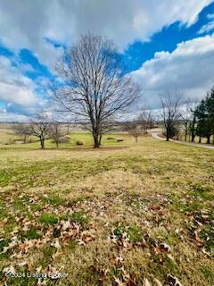255 BUNGER RD, EKRON, KY 40117, photo 3 of 24