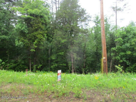 LOT 18&19 BRIER CREEK RD, MAMMOTH CAVE, KY 42259 - Image 1