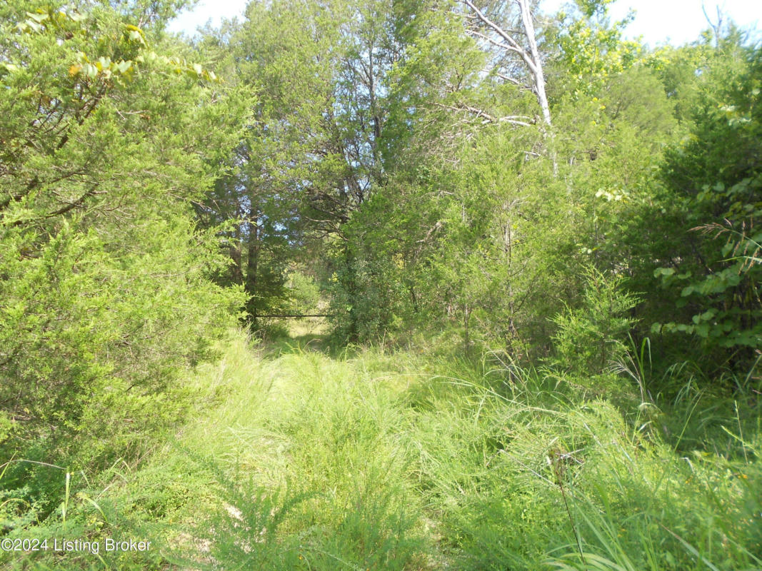 0 HARRISON FORK RD, COXS CREEK, KY 40013, photo 1 of 7