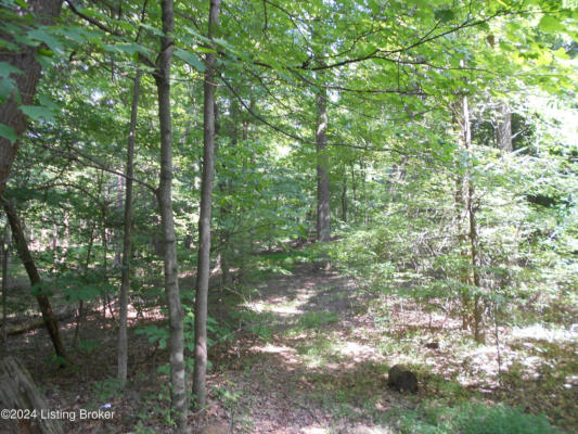 0 HARRISON FORK RD, COXS CREEK, KY 40013, photo 4 of 7