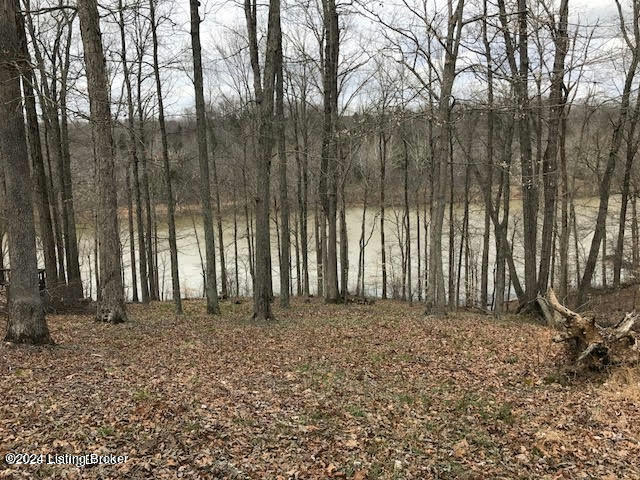 LOT 58 LAKE FOREST SHORES DR, WESTVIEW, KY 40178, photo 1 of 11