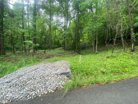 0 WATERVIEW LN, CUB RUN, KY 42729, photo 4 of 8