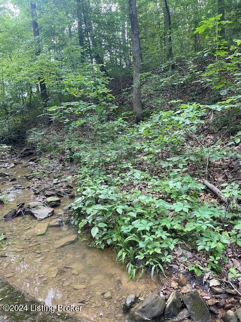 0 BROOKS RD, MAMMOTH CAVE, KY 42259, photo 1 of 6