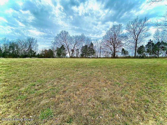TRACT 1 SHORES RD, FALLS OF ROUGH, KY 40119, photo 1 of 6