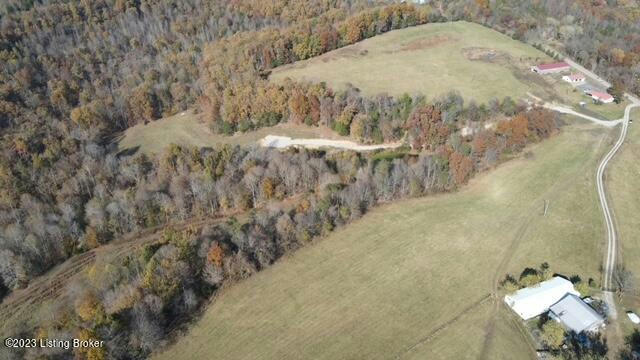 13157 PEONIA RD, CLARKSON, KY 42726, photo 2 of 25