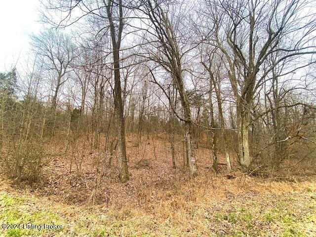 TRACT 2 SHORES RD, FALLS OF ROUGH, KY 40119, photo 1 of 6